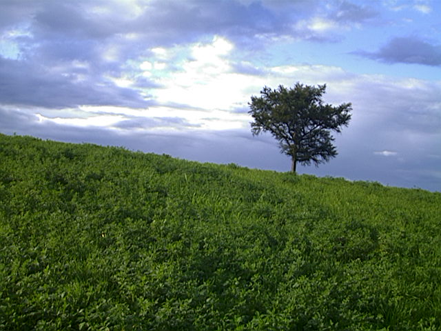 2002北海道15.JPG